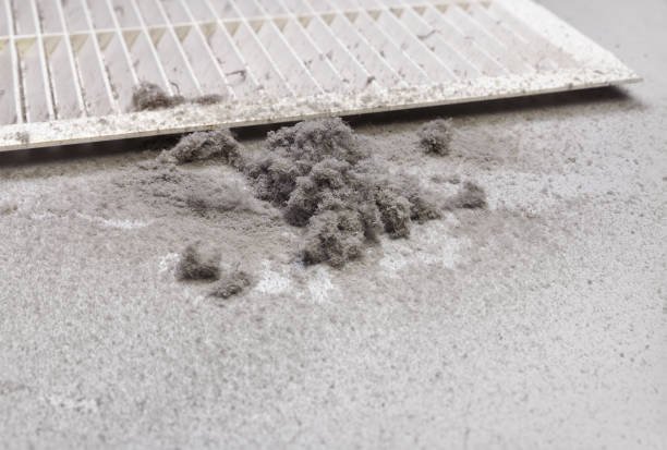Best Residential Air Duct Cleaning  in Englewood, FL