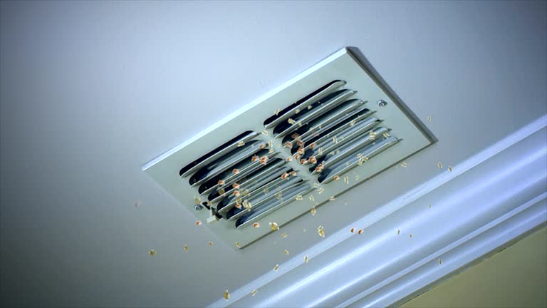 Best Affordable Air Duct Cleaning  in Englewood, FL