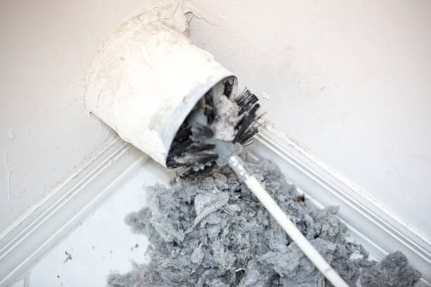 Best Air Duct Cleaning Company Near Me  in Englewood, FL